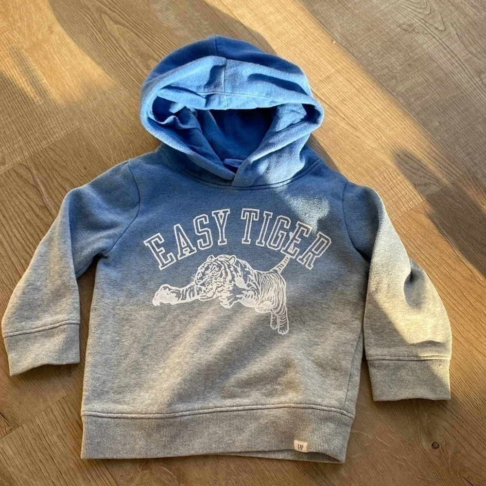 GAP 3T Graphic Ombre Hoodie Sweatshirt Easy Tiger